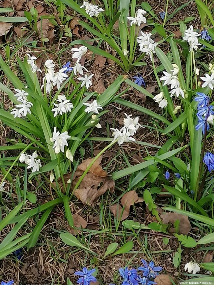 Парк Сокольники на 1 мая 2022 года