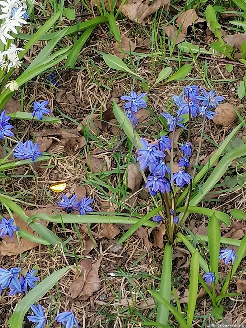 Парк Сокольники на 1 мая 2022 года