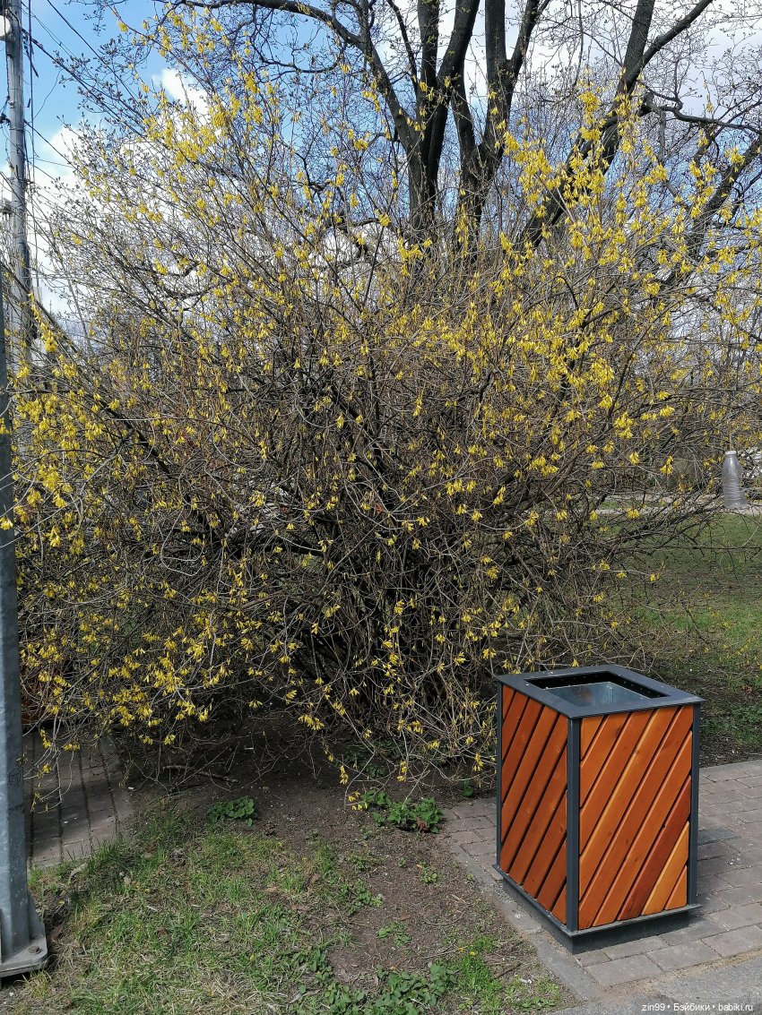 Парк Сокольники на 1 мая 2022 года (фото 8)