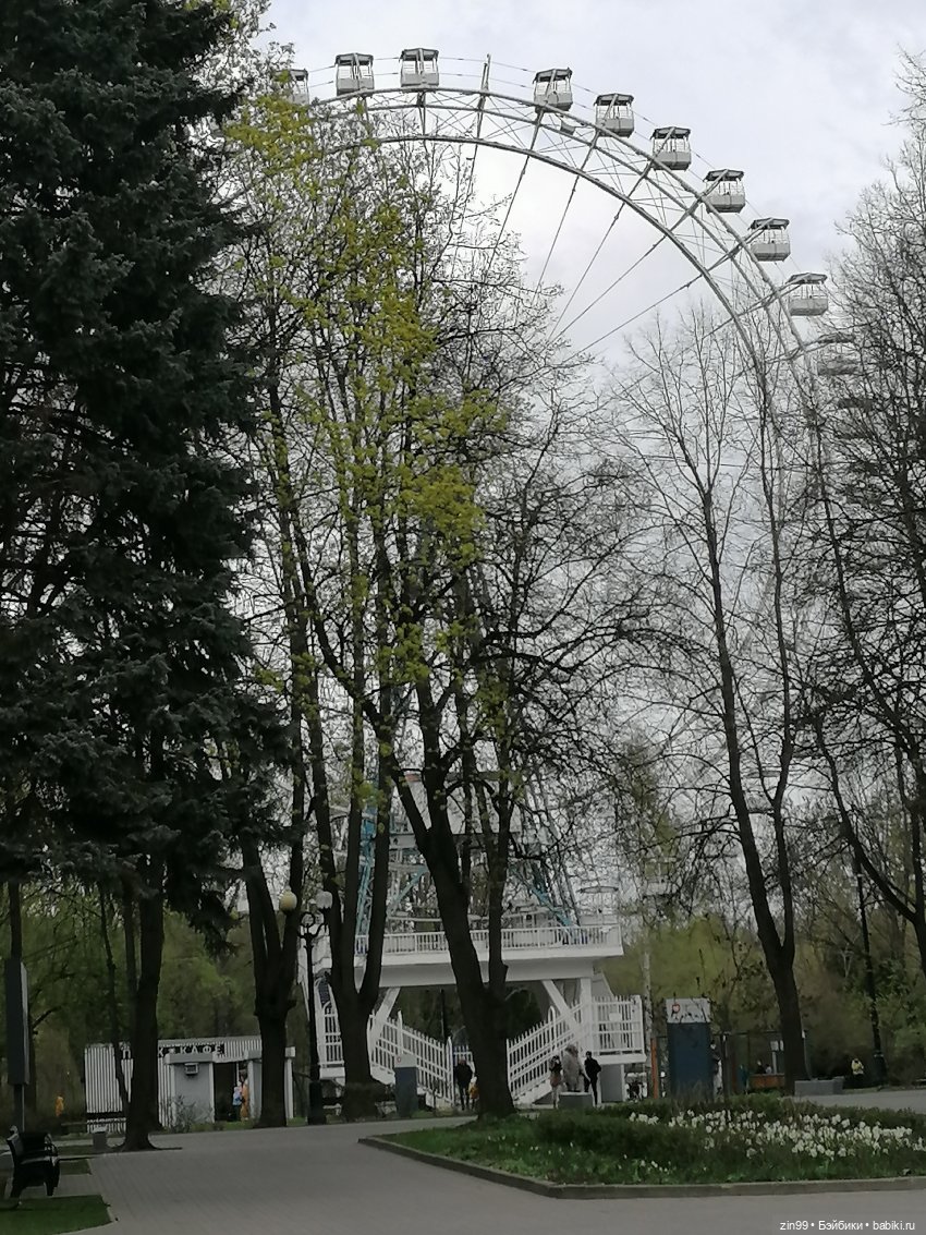 Мия Булочка, прогулка в парке (фото 10)