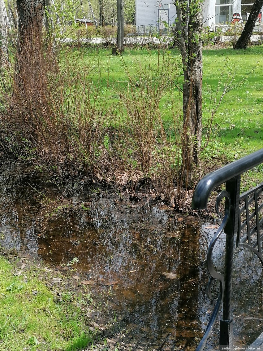 Мия Булочка, прогулка в парке