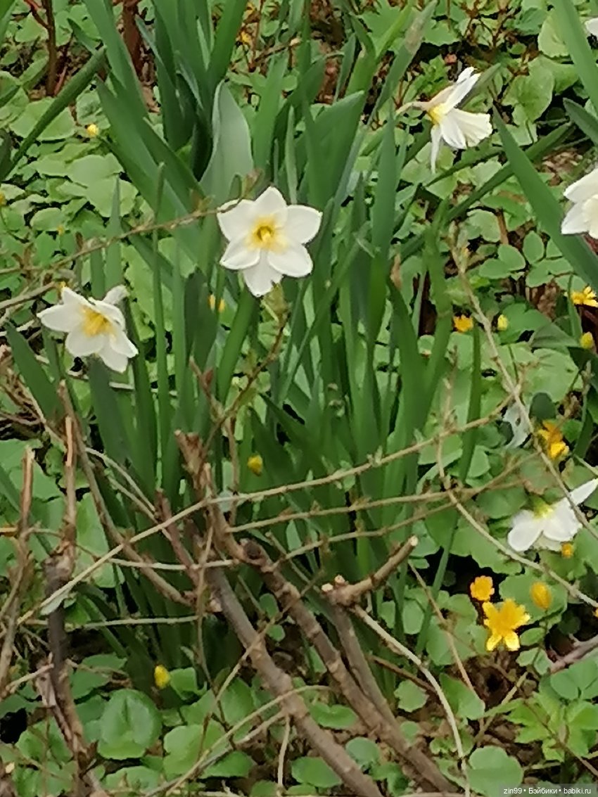 Мия Булочка, прогулка в парке
