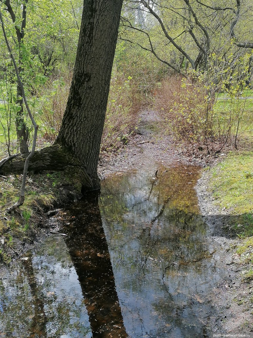 Мия Булочка, прогулка в парке