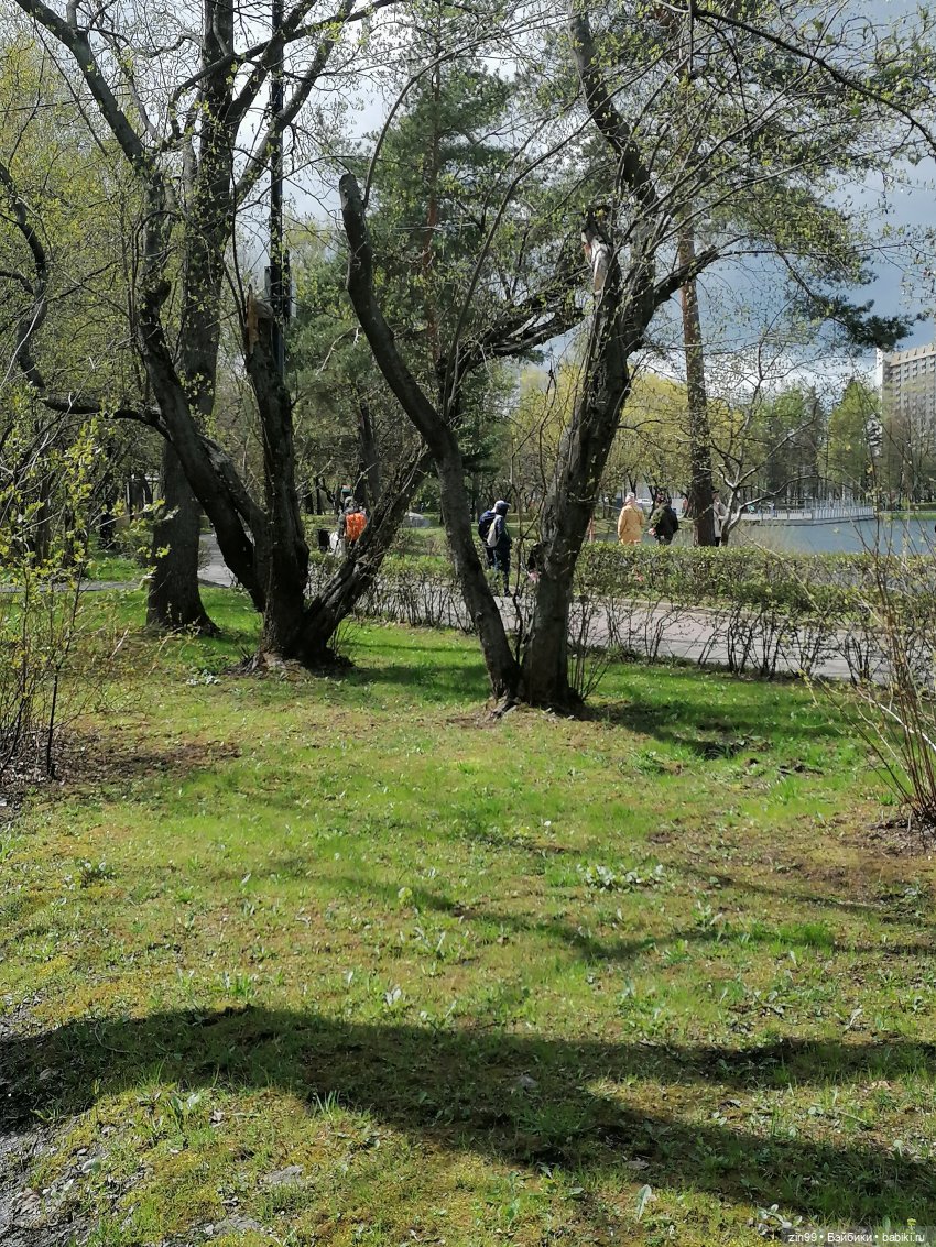 Мия Булочка, прогулка в парке