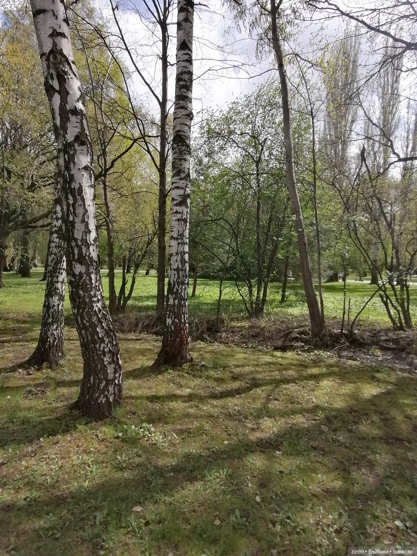 Мия Булочка, прогулка в парке