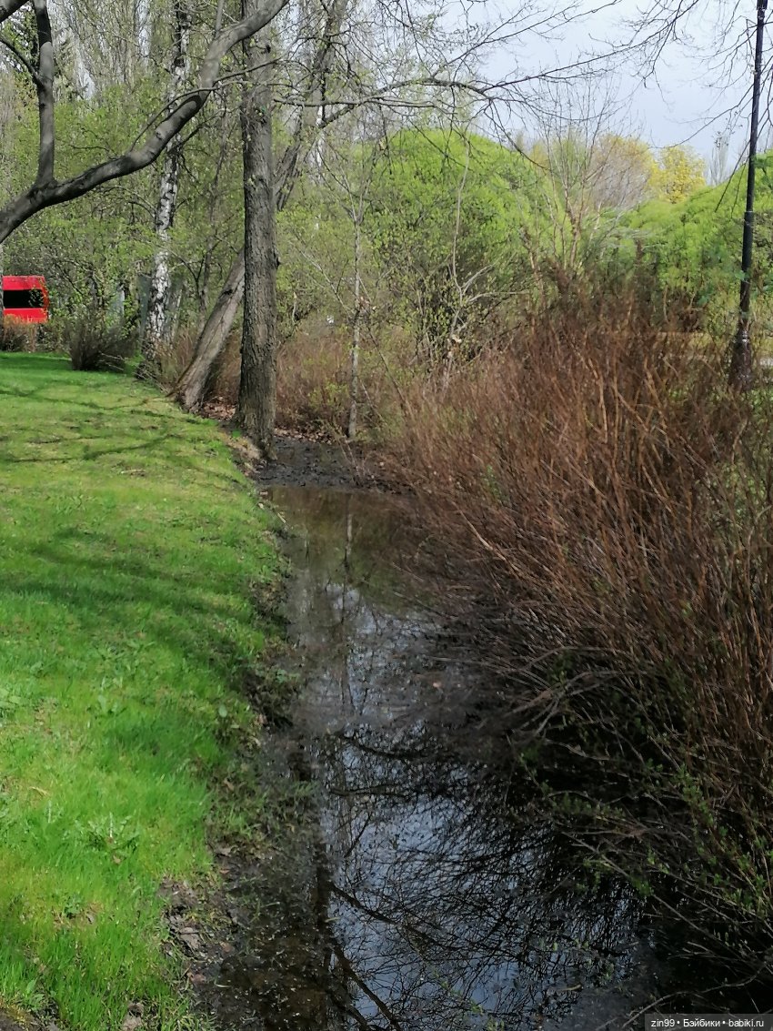 Мия Булочка, прогулка в парке