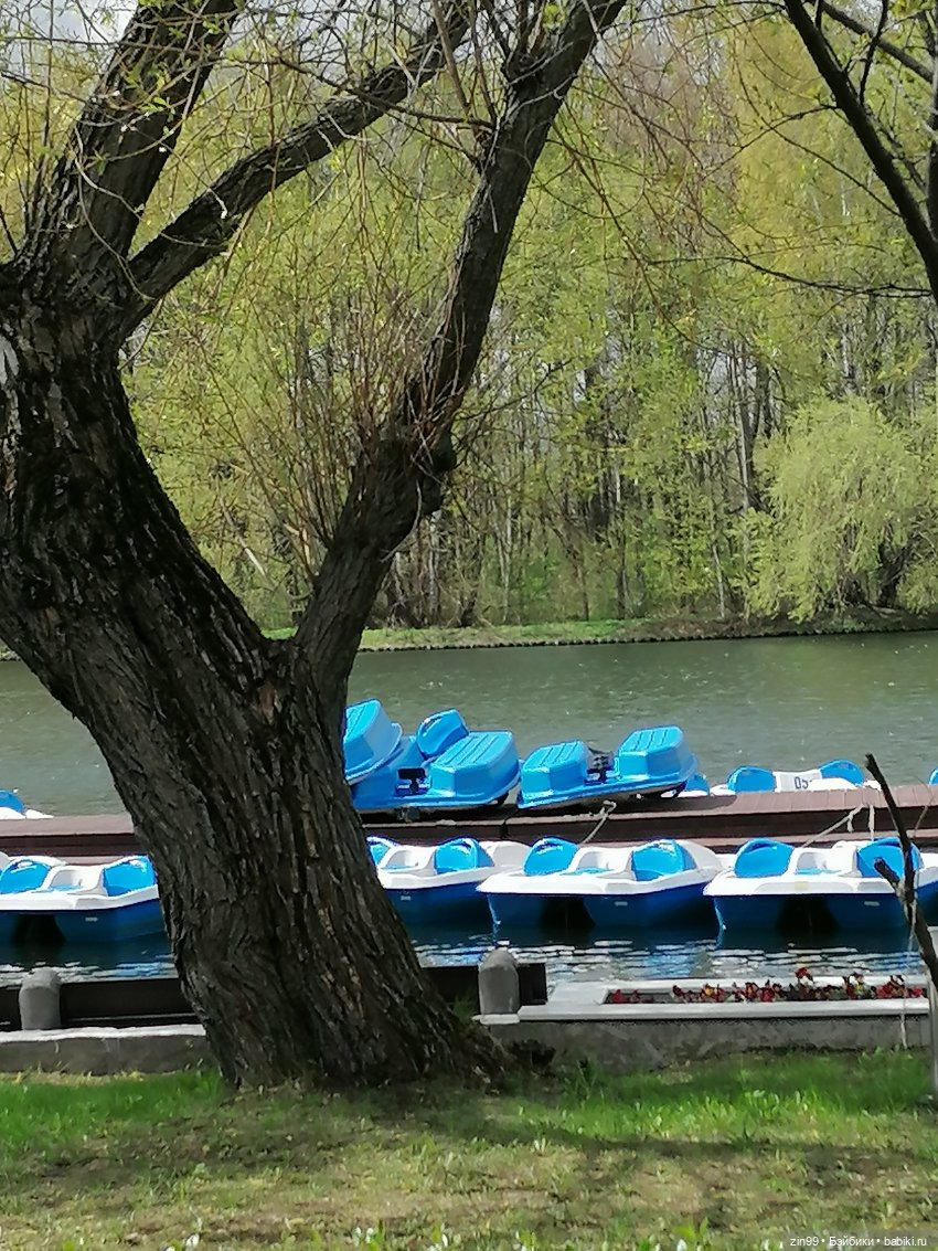 Мия Булочка, прогулка в парке