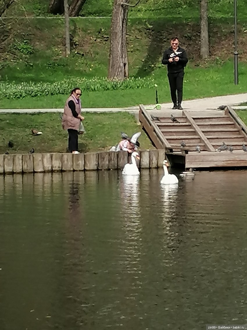 Сад будущего и ВДНХ с фейсинкой