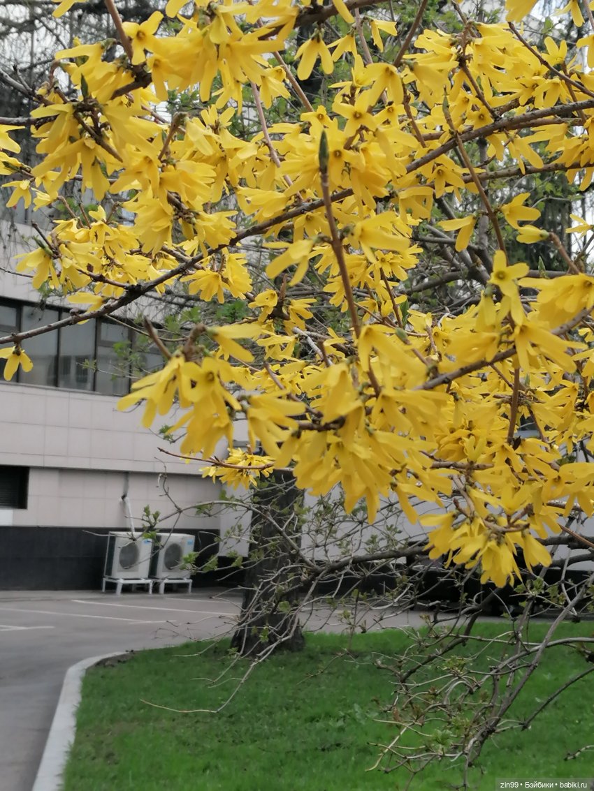 Сад будущего и ВДНХ с фейсинкой