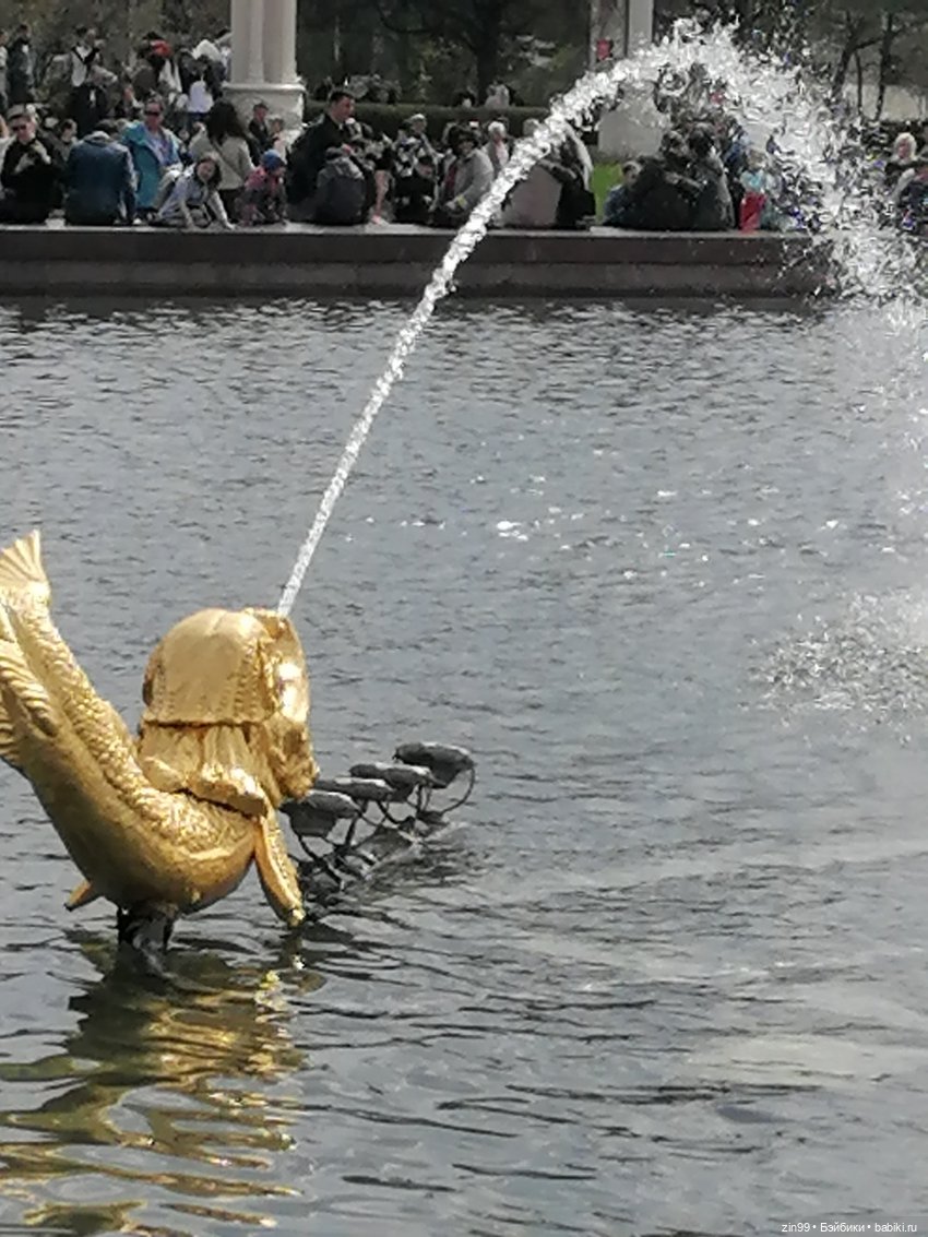 Сад будущего и ВДНХ с фейсинкой