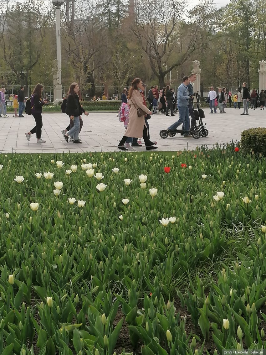 Сад будущего и ВДНХ с фейсинкой