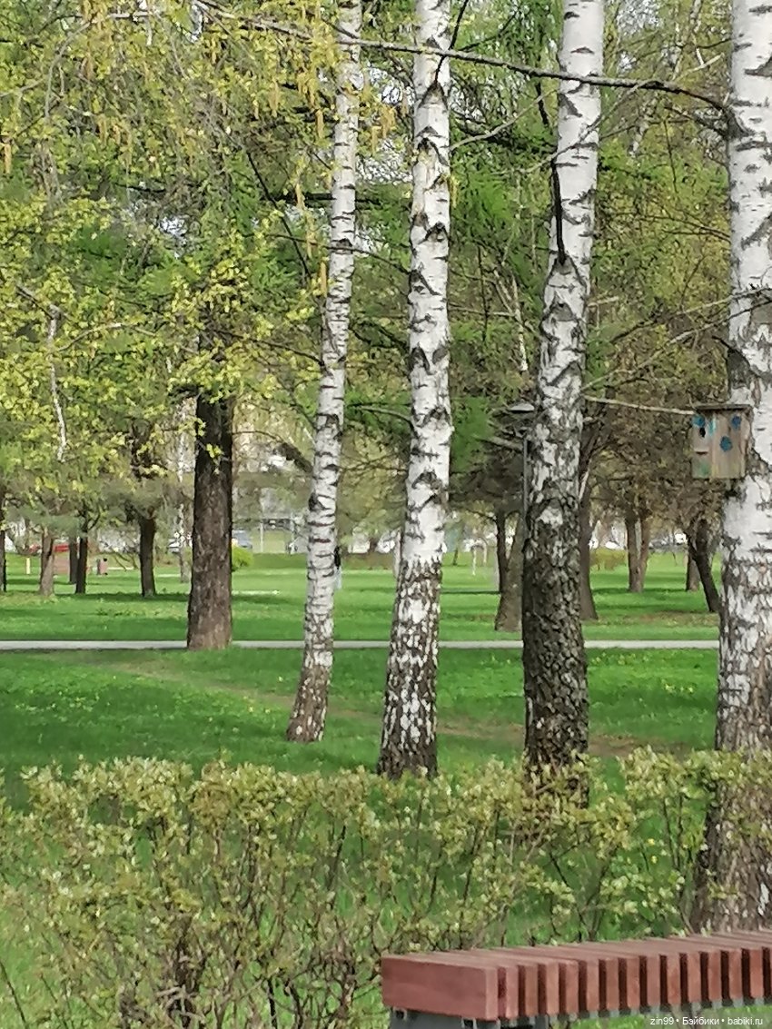 Сад будущего и ВДНХ с фейсинкой (фото 6)