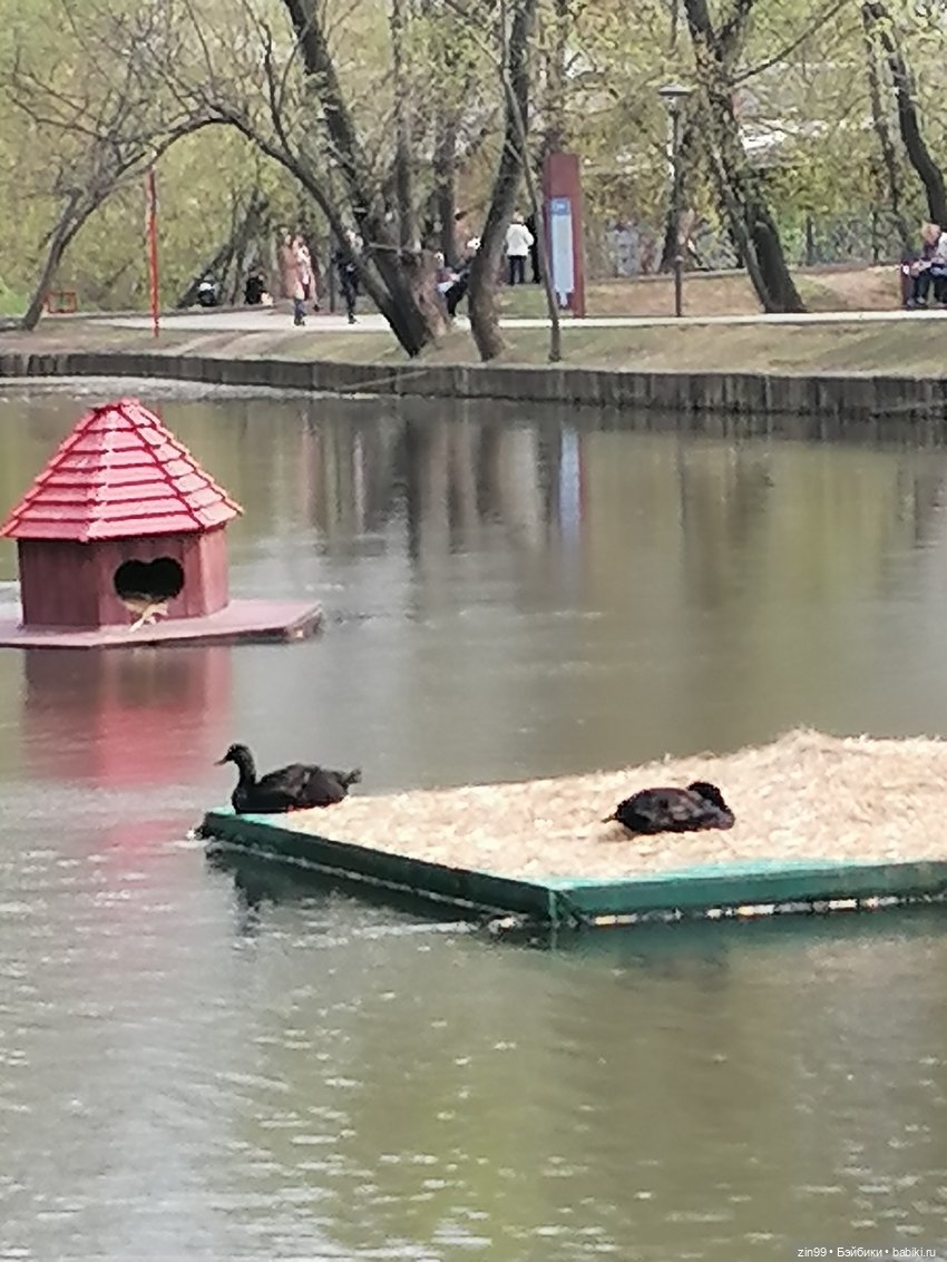 Сад будущего и ВДНХ с фейсинкой