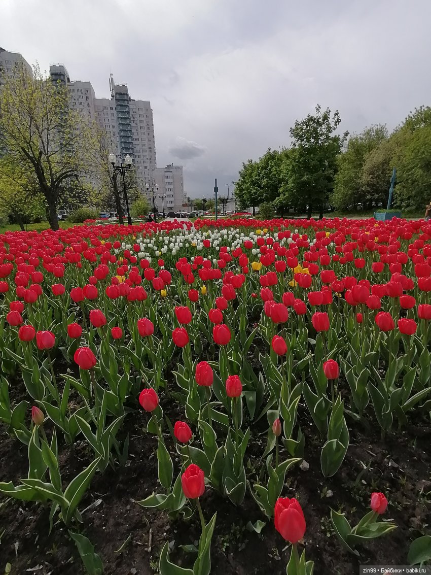 Приехала, когда цветет черемуха, POOPSIE RAINBOW