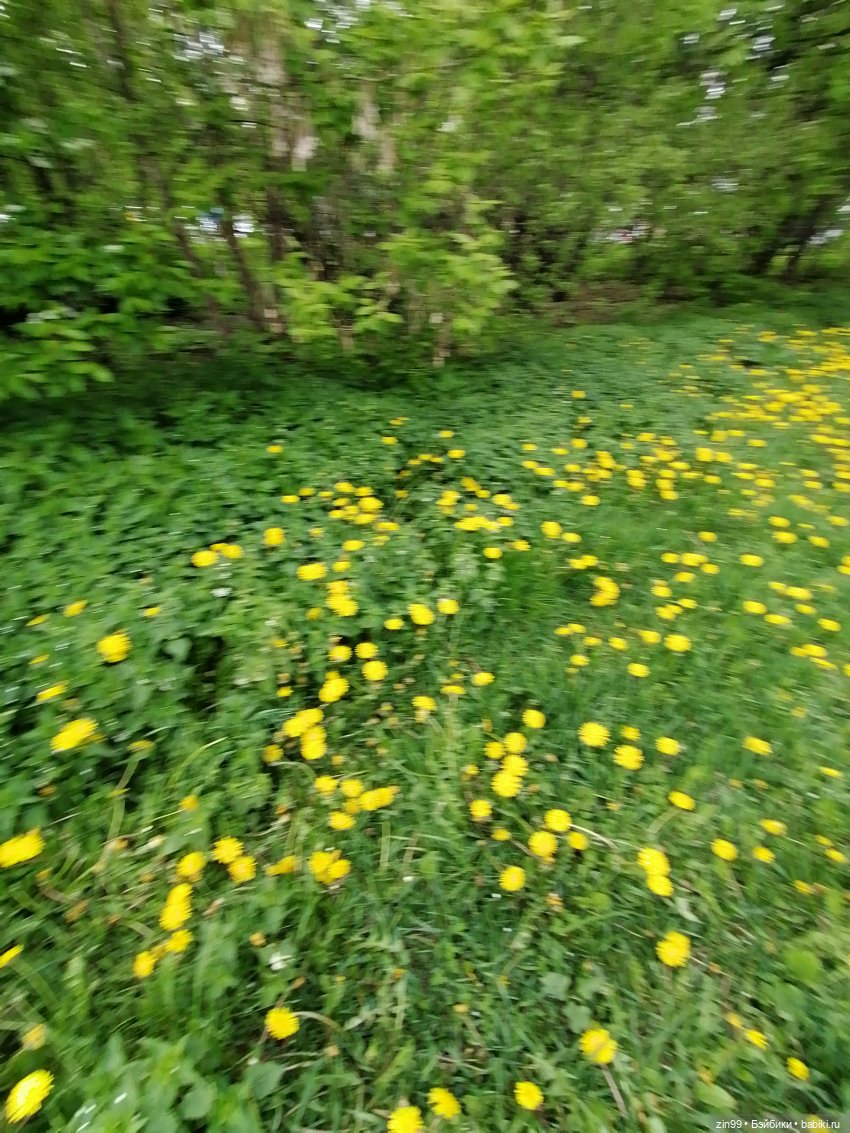 Приехала, когда цветет черемуха, POOPSIE RAINBOW (фото 6)