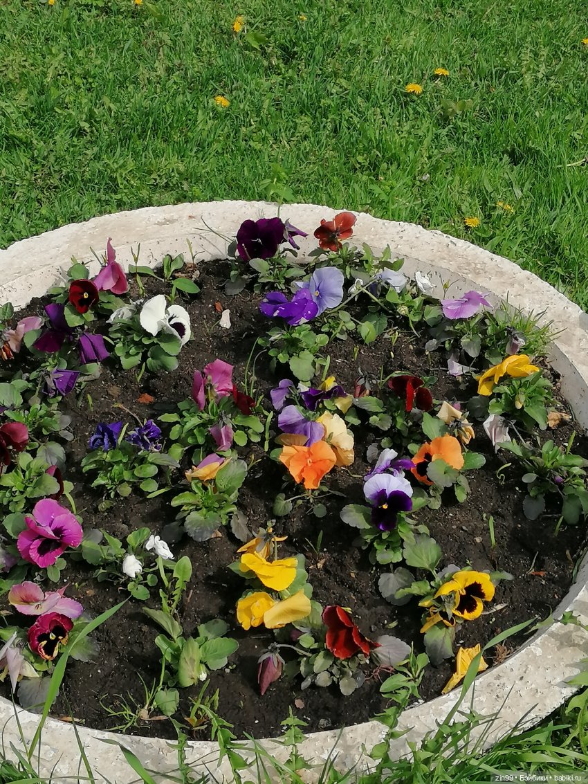 Приехала, когда цветет черемуха, POOPSIE RAINBOW