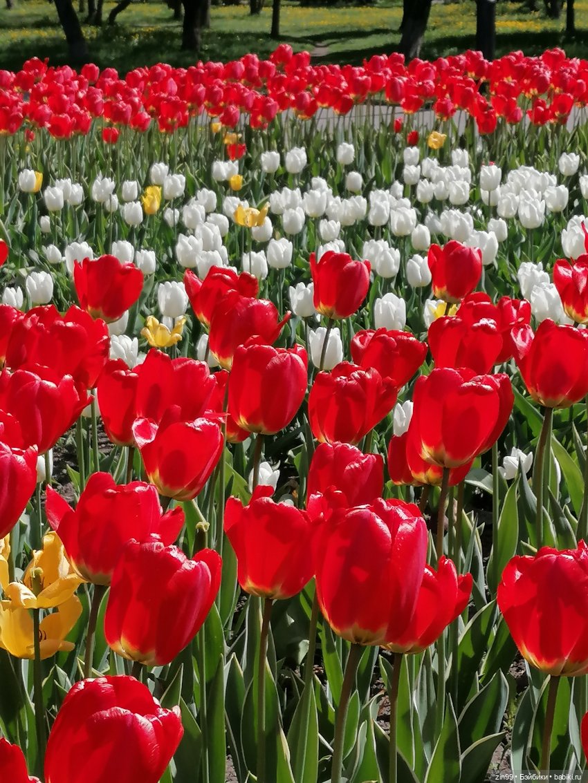 Сейчас Весна все распускается и мы ждем лето, когда тепло