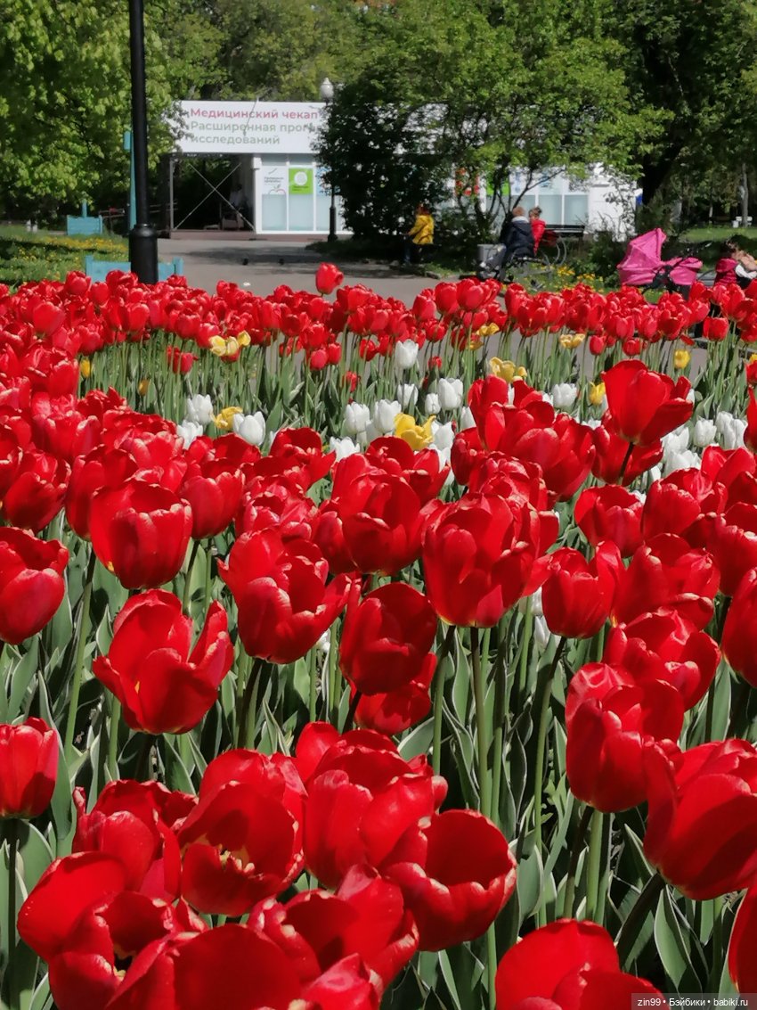 Сейчас Весна все распускается и мы ждем лето, когда тепло