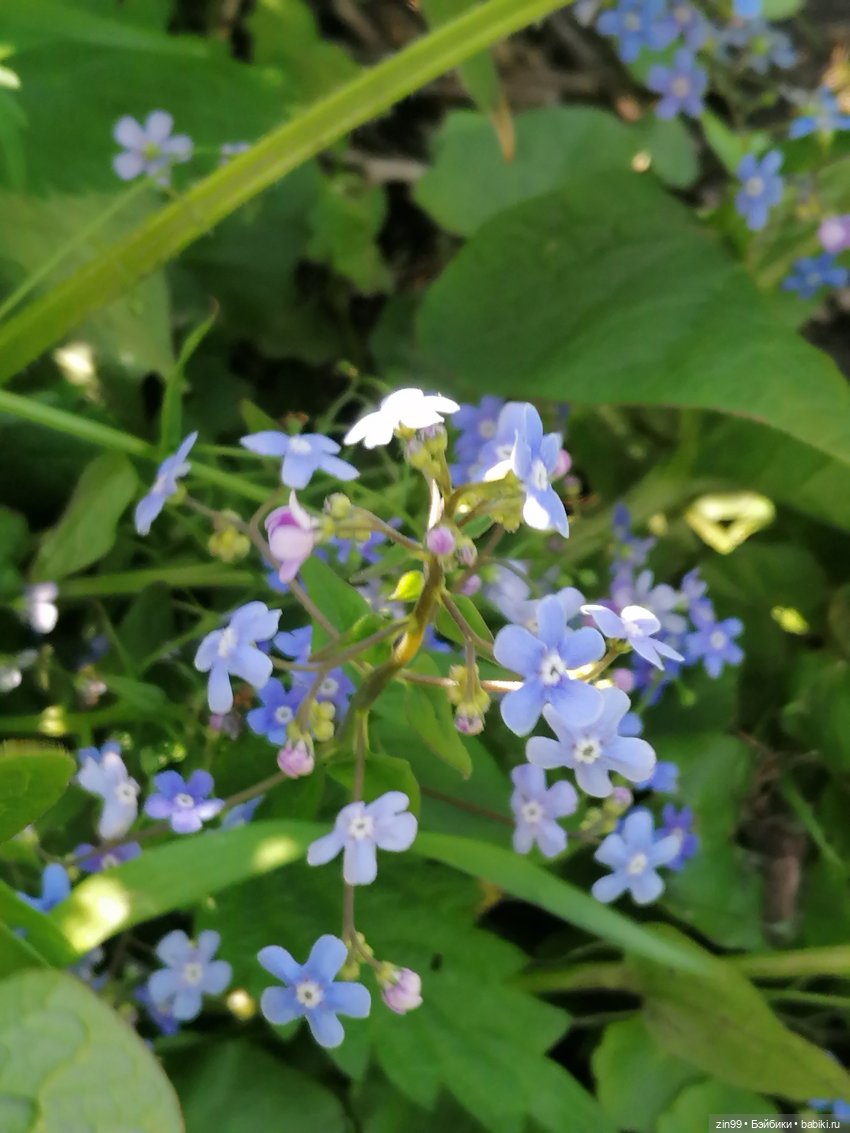 Сейчас Весна все распускается и мы ждем лето, когда тепло