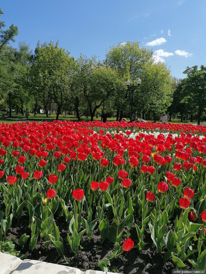 Сейчас Весна все распускается и мы ждем лето, когда тепло