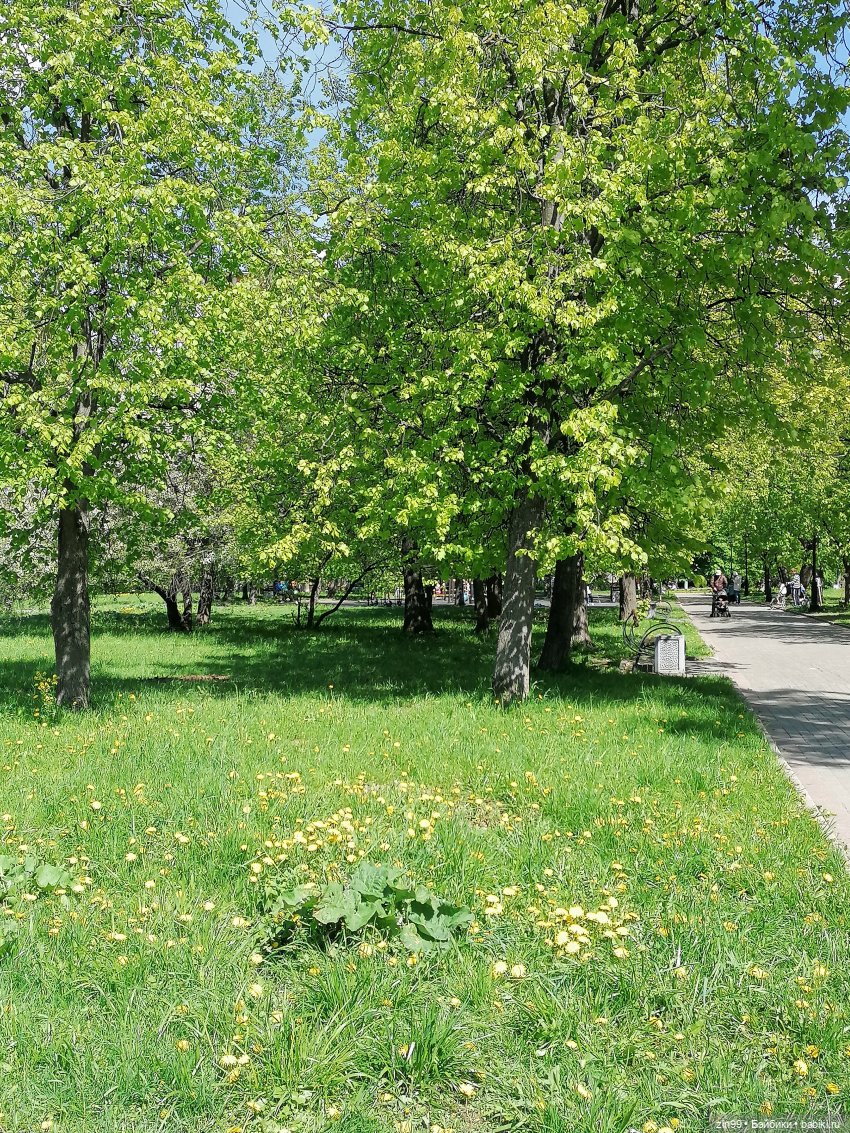 Сейчас Весна все распускается и мы ждем лето, когда тепло