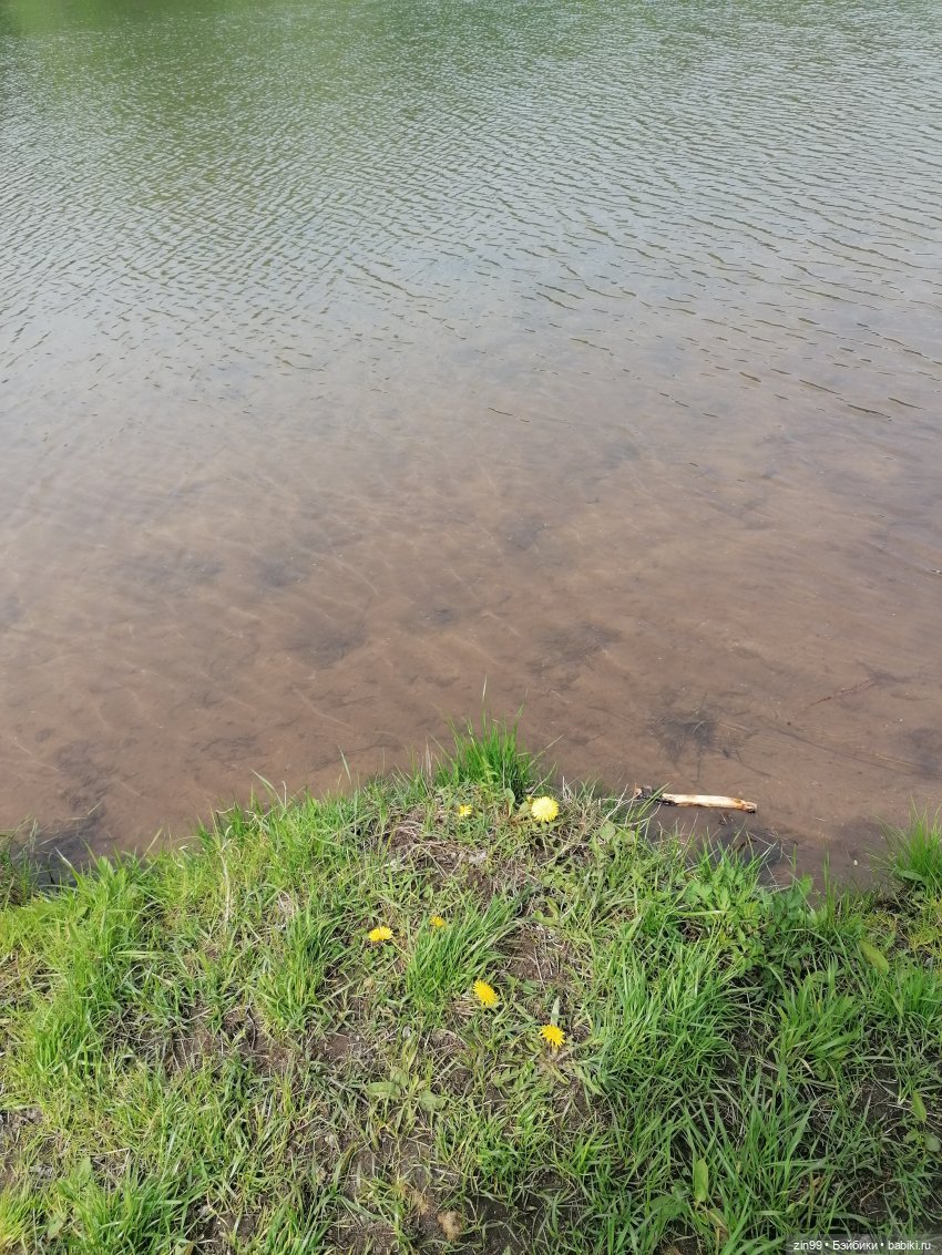 Новые баболики приехали | Бэйбики Новые баболики приехали — Куклы Baboliy (Баболи (фото 3)