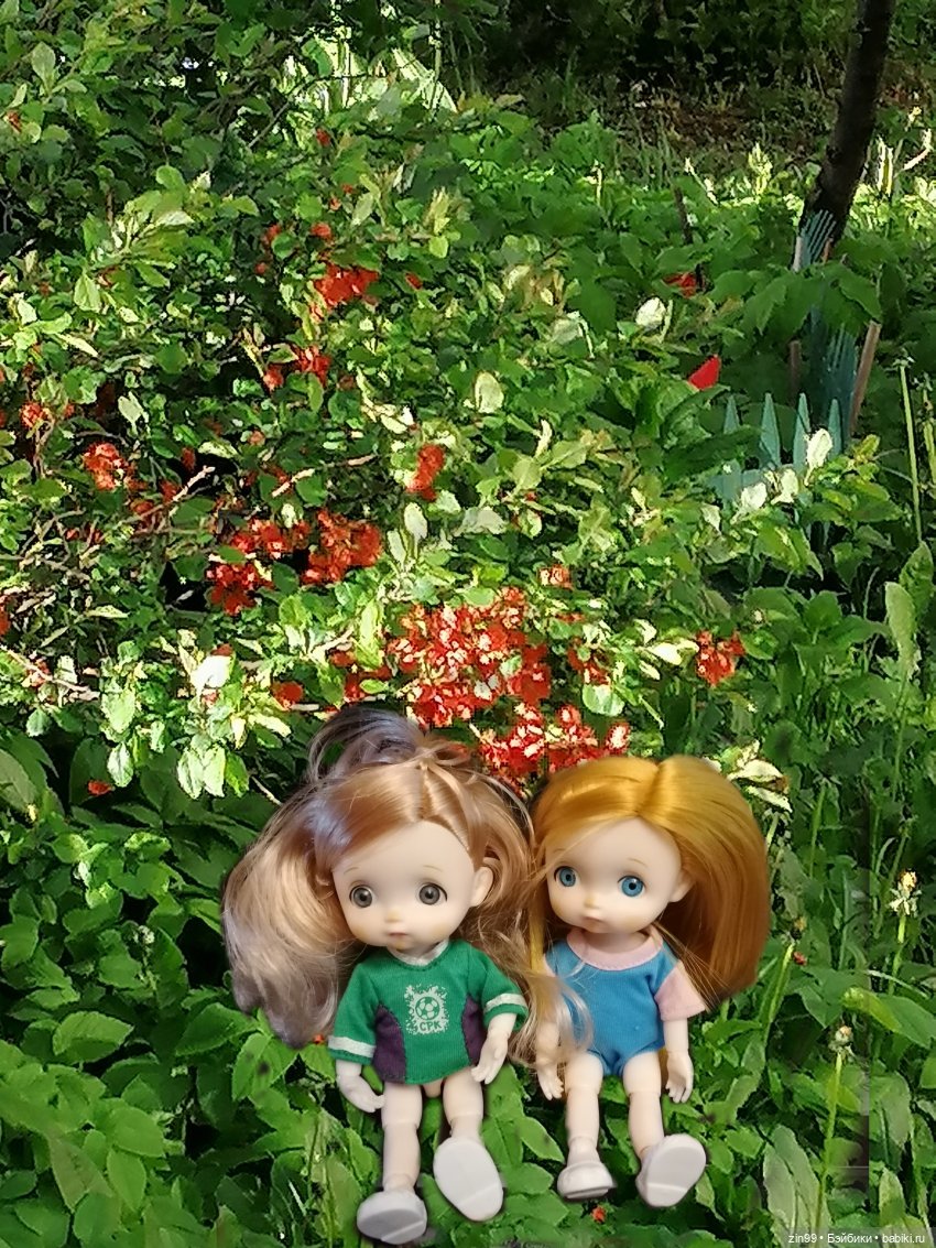 Новые баболики приехали | Бэйбики Новые баболики приехали — Куклы Baboliy (Баболи