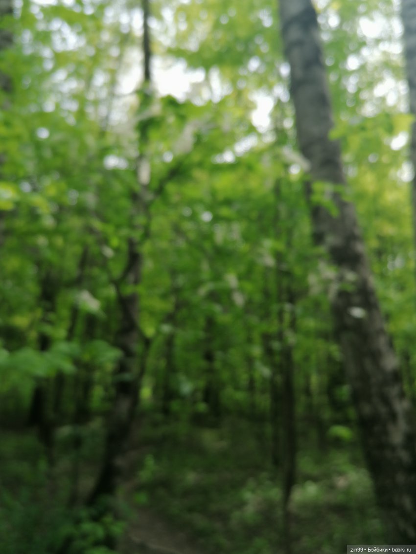 Новые баболики приехали | Бэйбики Новые баболики приехали — Куклы Baboliy (Баболи