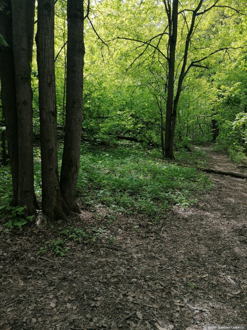 Новые баболики приехали | Бэйбики Новые баболики приехали — Куклы Baboliy (Баболи