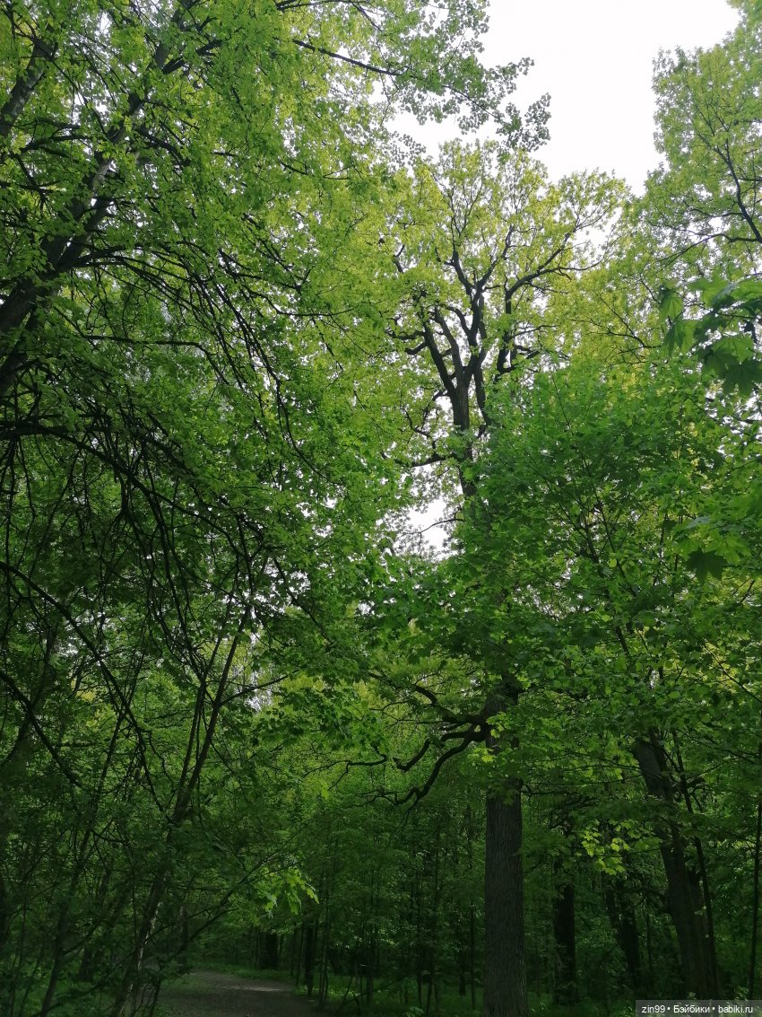 Новые баболики приехали | Бэйбики Новые баболики приехали — Куклы Baboliy (Баболи