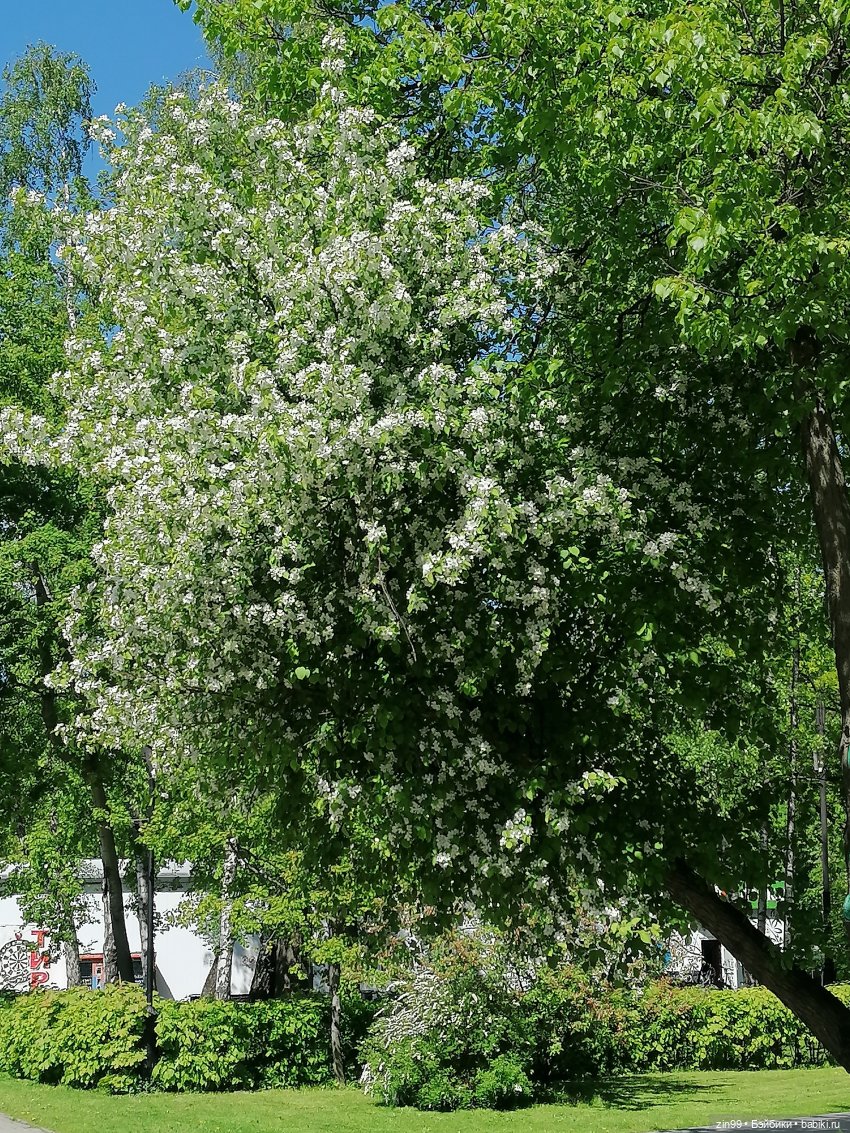 Гуляем в парке с Paola Reina