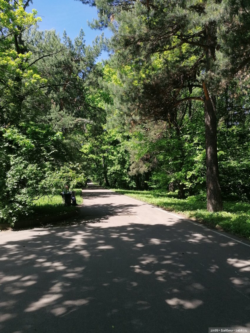 Главный ботанический сад имени Н. В. Цицина РАН, и Федра Rainbow hihg