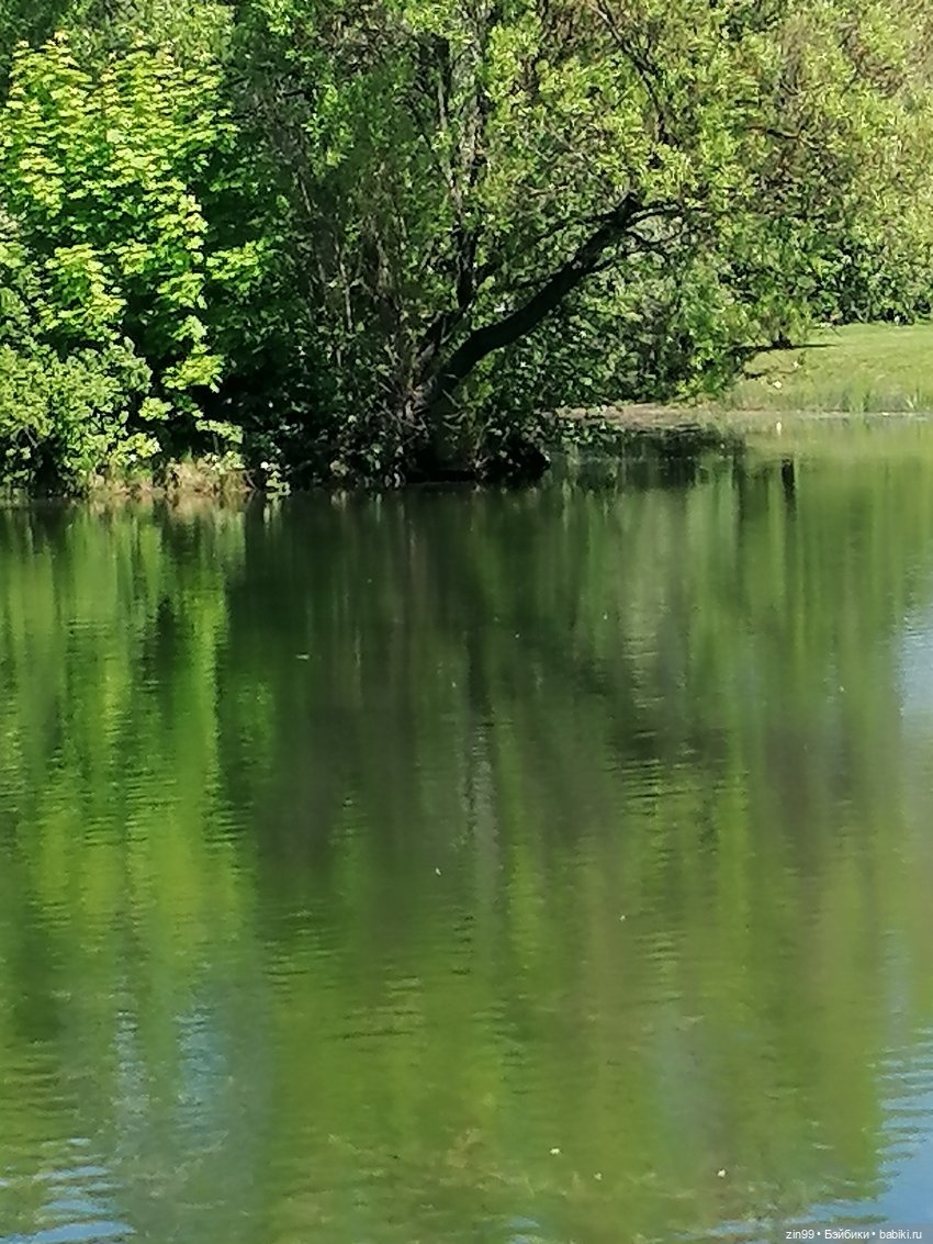 Главный ботанический сад имени Н. В. Цицина РАН, и Федра Rainbow hihg