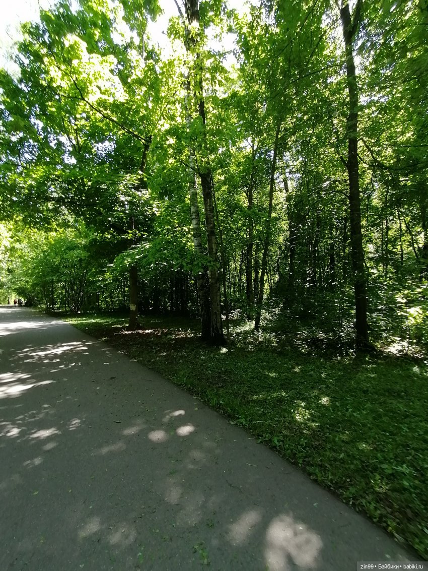 Главный ботанический сад имени Н. В. Цицина РАН, и Федра Rainbow hihg