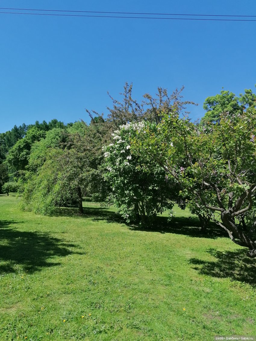 Главный ботанический сад имени Н. В. Цицина РАН, и Федра Rainbow hihg