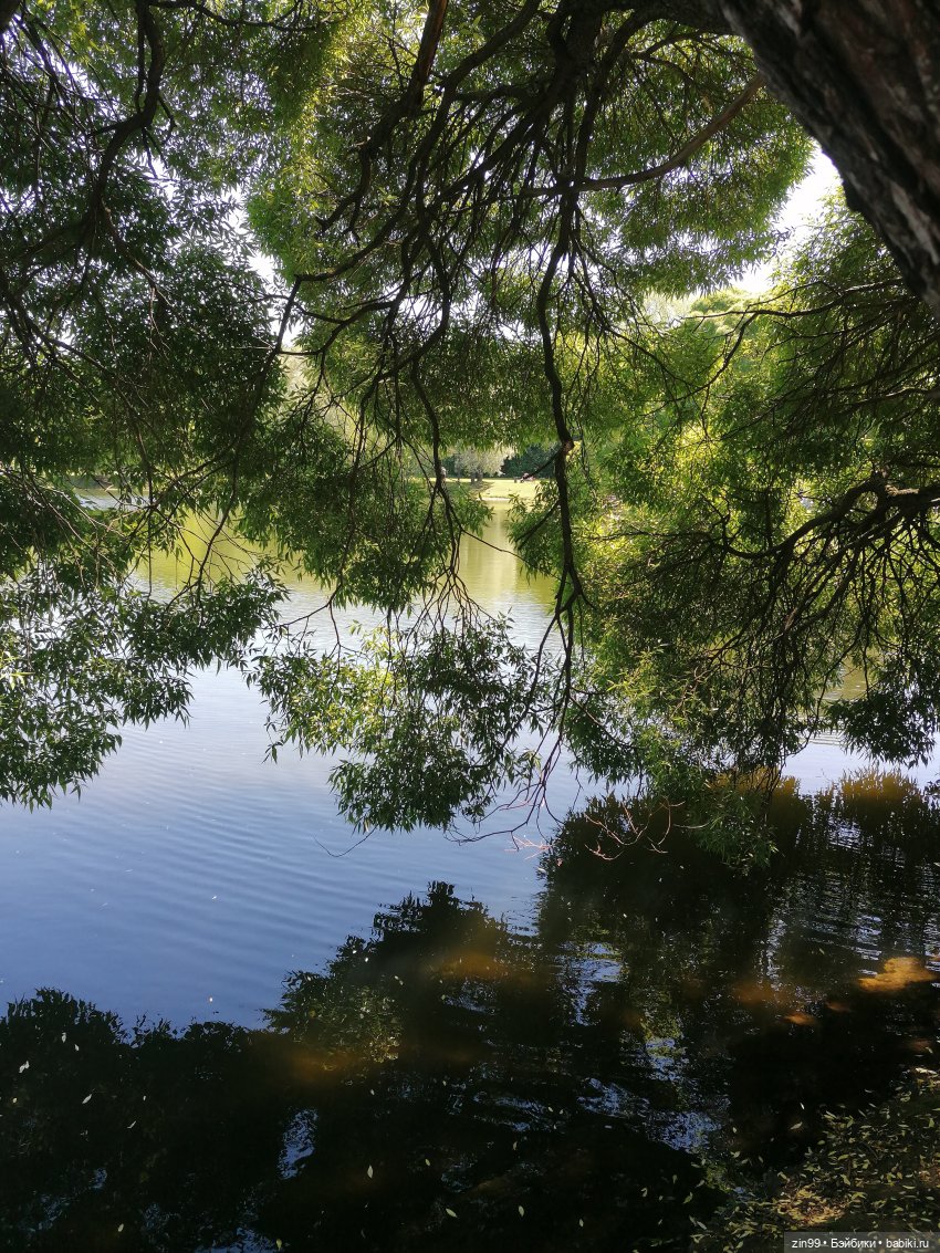 Главный ботанический сад имени Н. В. Цицина РАН, и Федра Rainbow hihg
