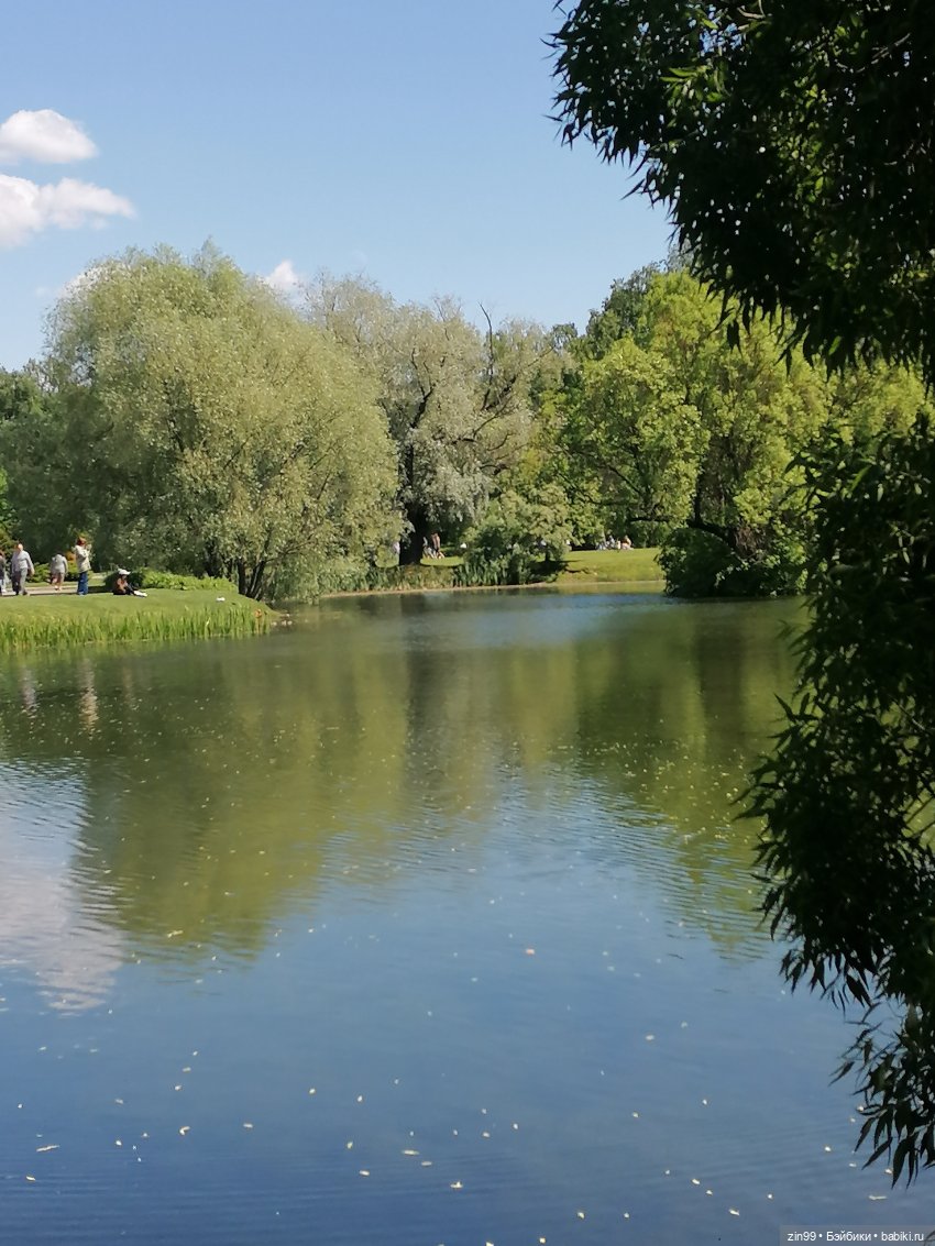 Главный ботанический сад имени Н. В. Цицина РАН, и Федра Rainbow hihg