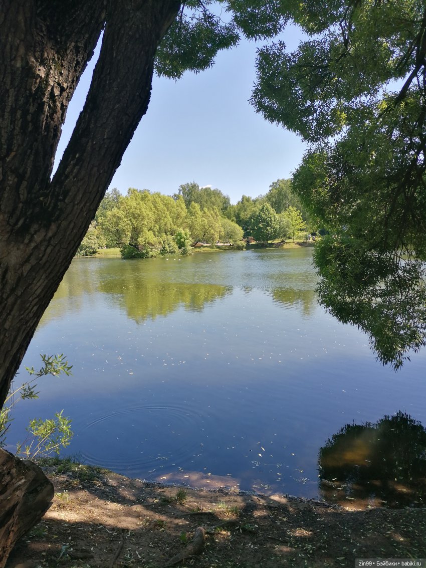 Главный ботанический сад имени Н. В. Цицина РАН, и Федра Rainbow hihg