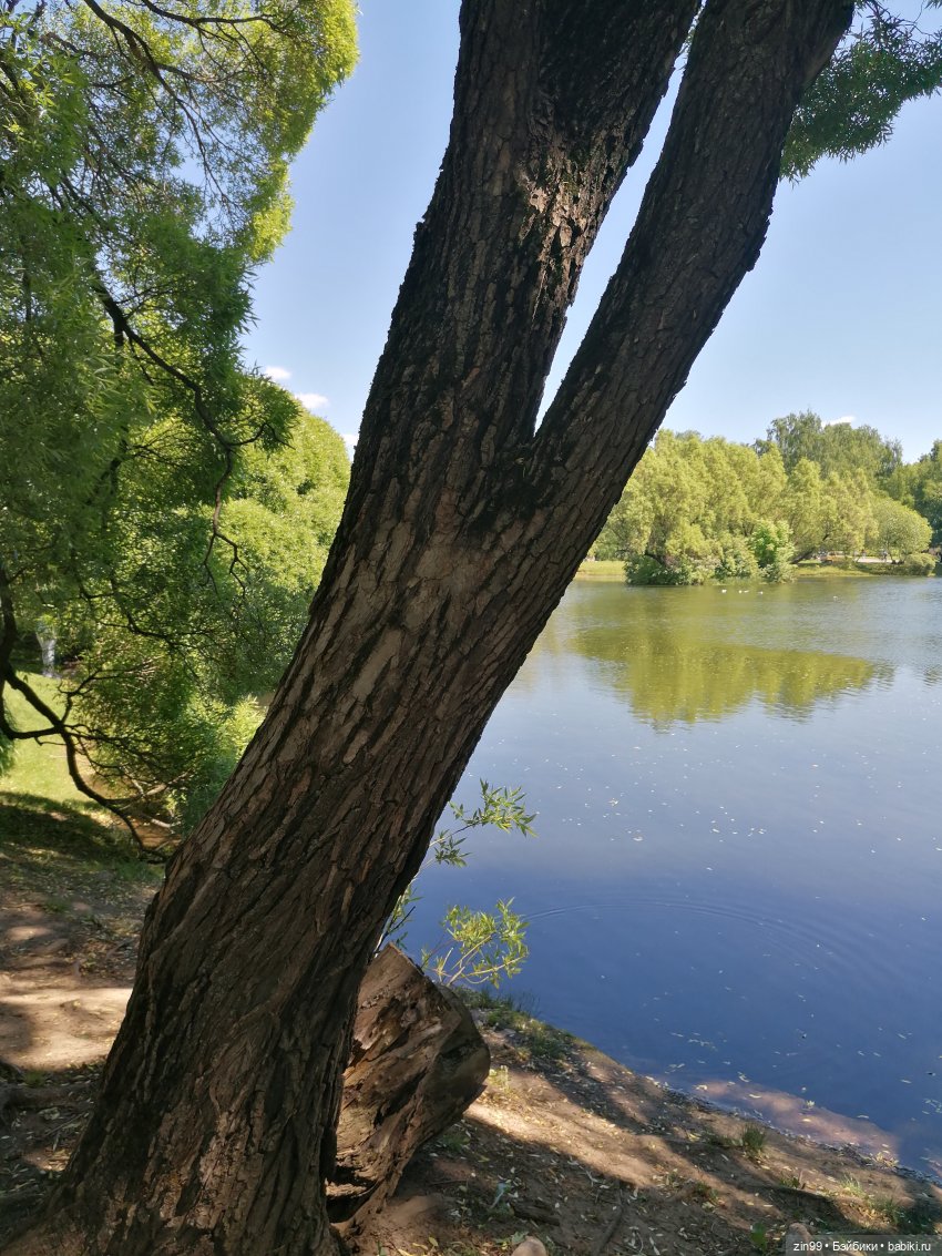 Главный ботанический сад имени Н. В. Цицина РАН, и Федра Rainbow hihg