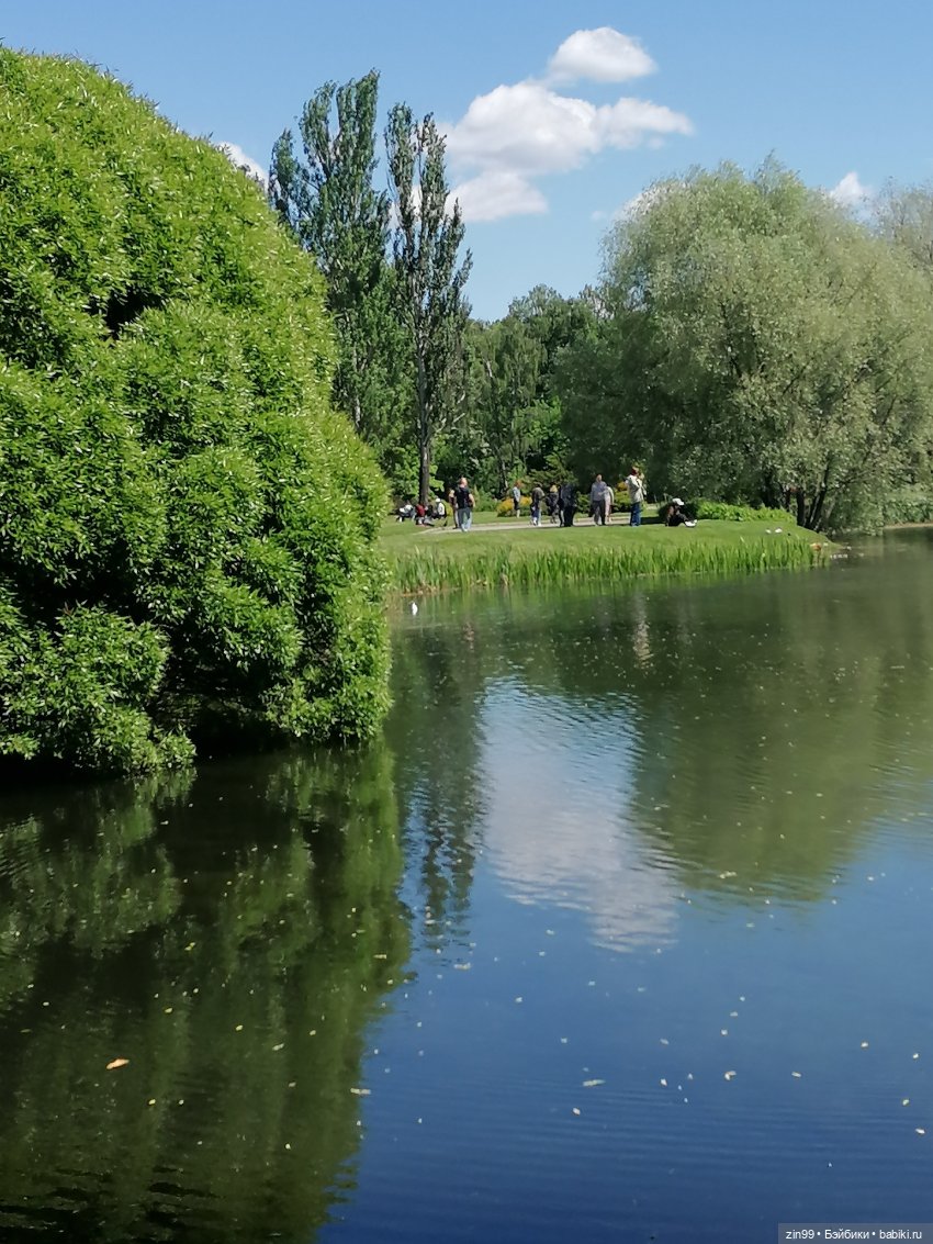 Главный ботанический сад имени Н. В. Цицина РАН, и Федра Rainbow hihg