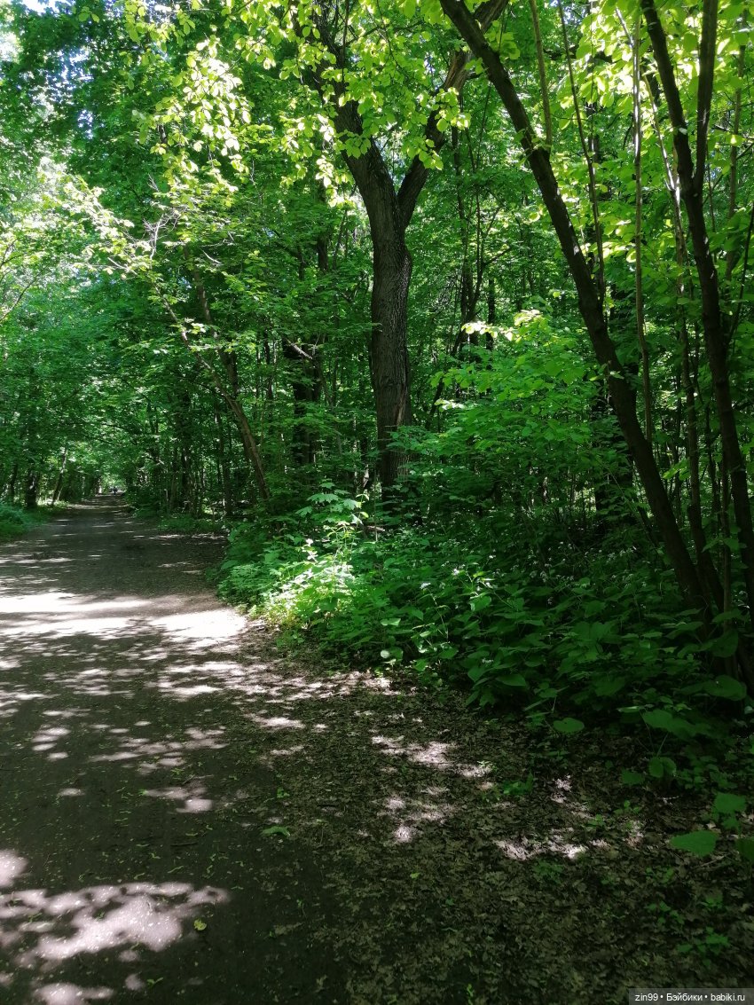 Главный ботанический сад имени Н. В. Цицина РАН, и Федра Rainbow hihg