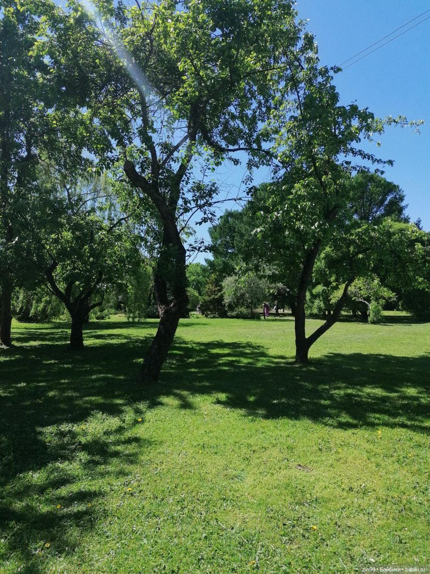 Главный ботанический сад имени Н. В. Цицина РАН, и Федра Rainbow hihg