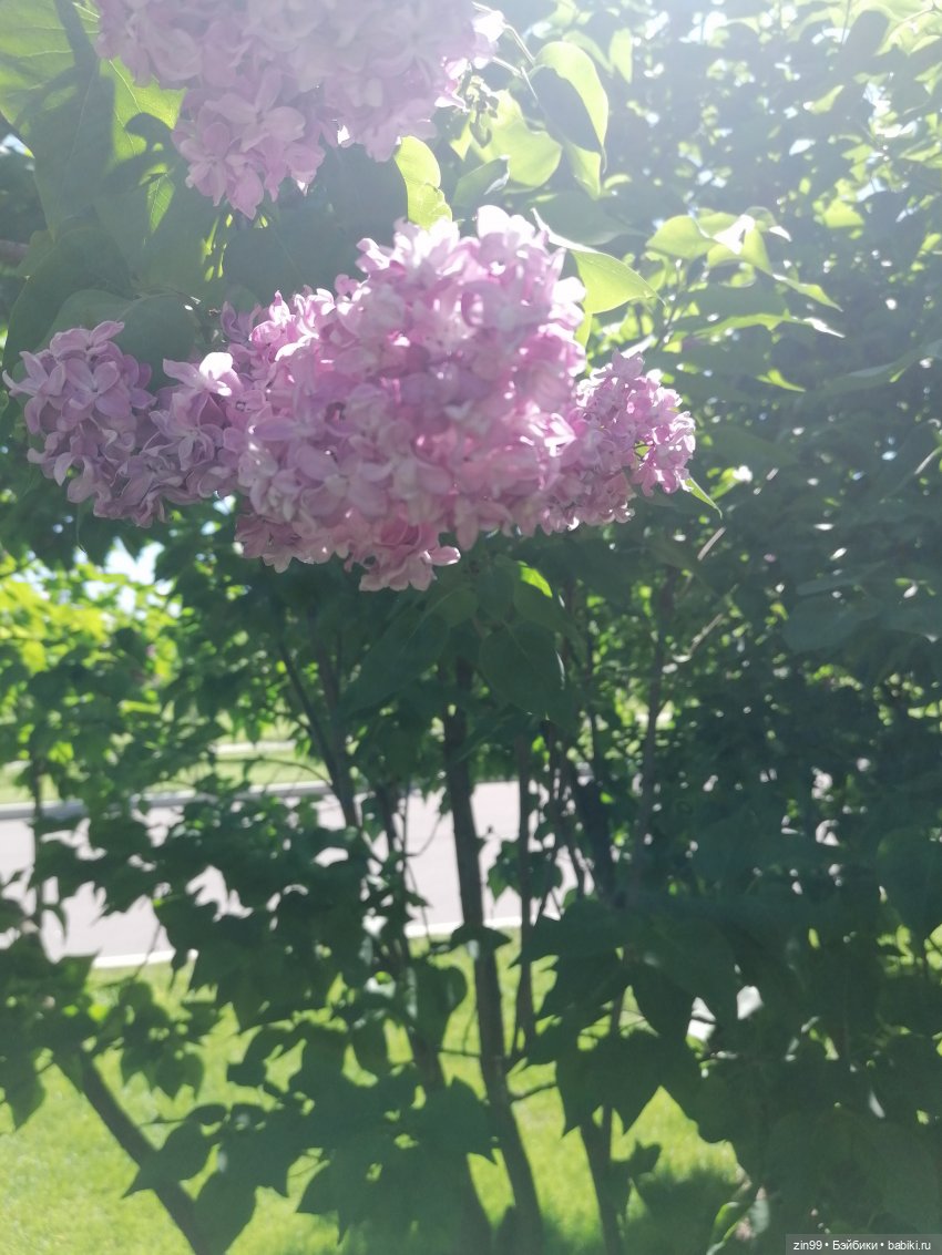 От Ботанического сада на ВДНХ с Федрой! Продолжение