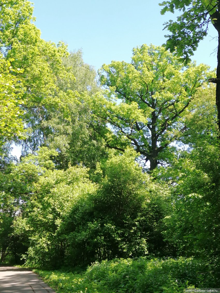 От Ботанического сада на ВДНХ с Федрой! Продолжение (фото 3)