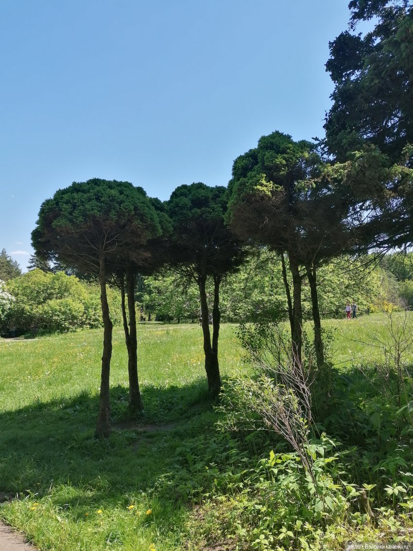 От Ботанического сада на ВДНХ с Федрой! Продолжение (фото 5)