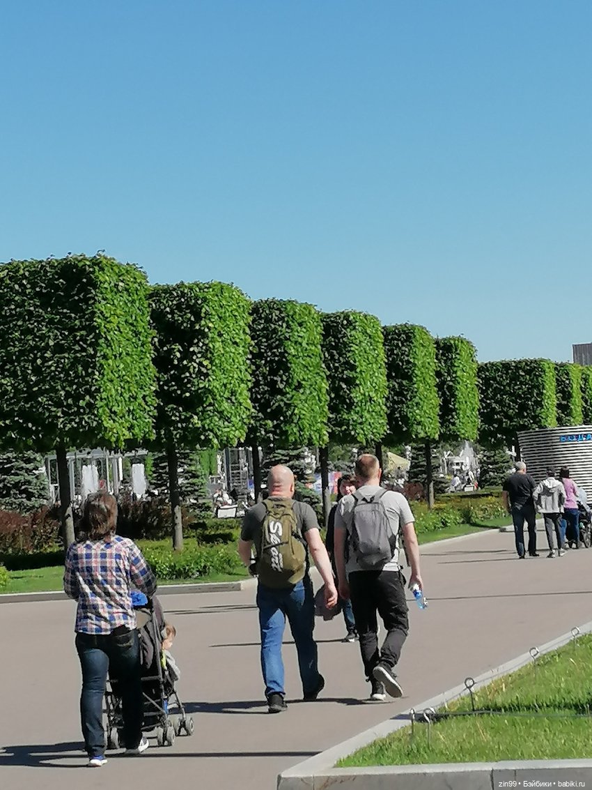 От Ботанического сада на ВДНХ с Федрой! Продолжение