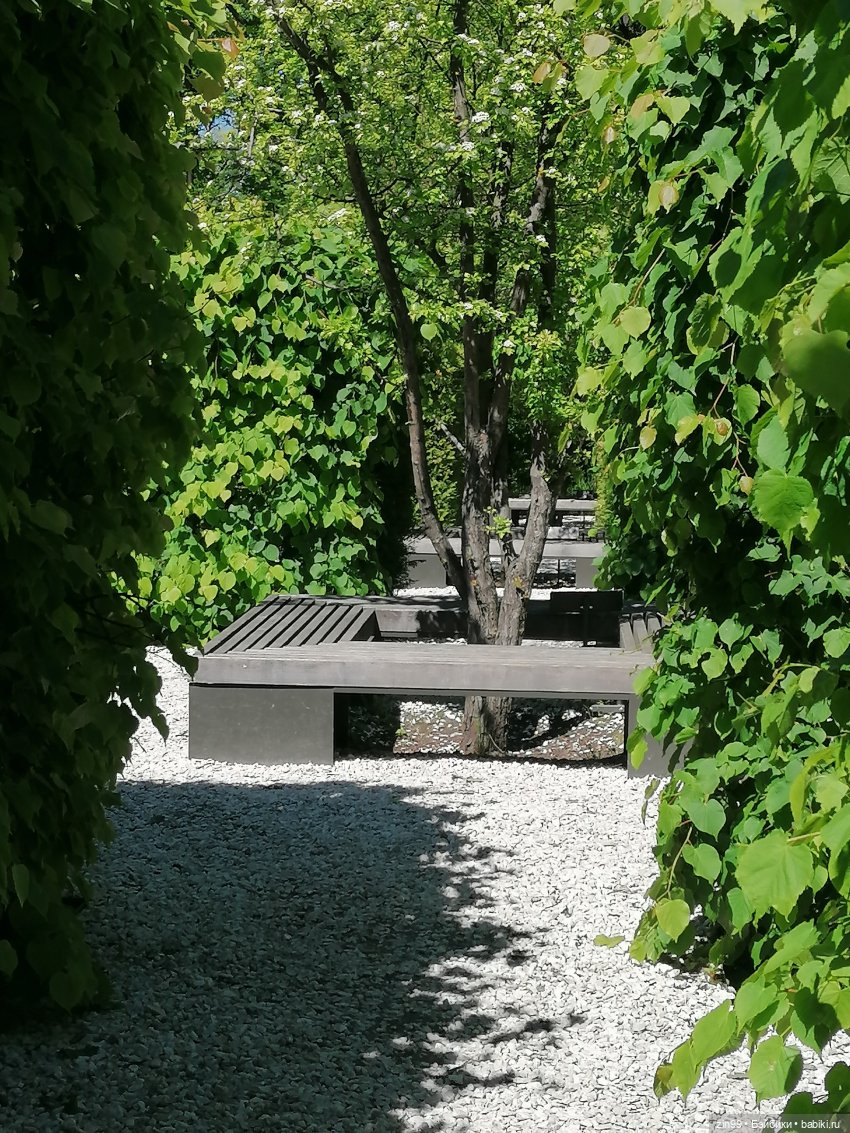 От Ботанического сада на ВДНХ с Федрой! Продолжение