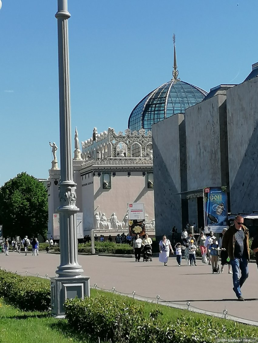 От Ботанического сада на ВДНХ с Федрой! Продолжение