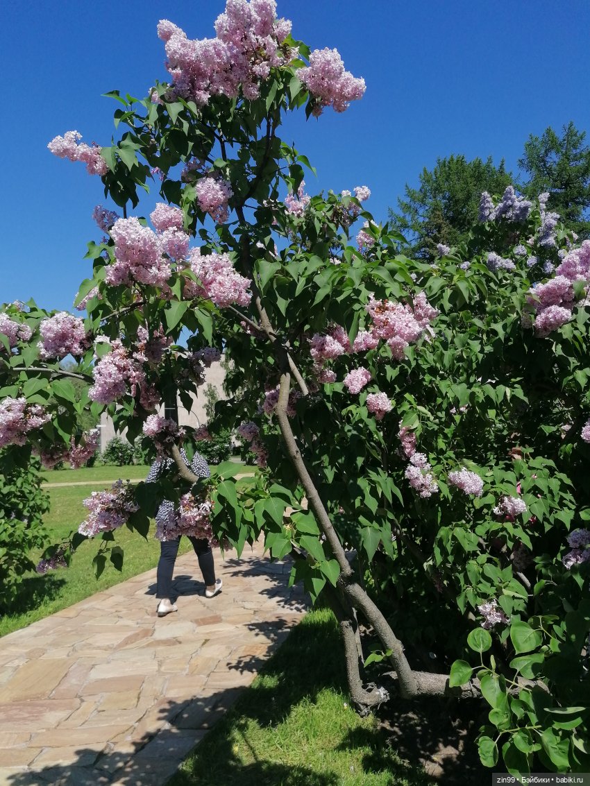 От Ботанического сада на ВДНХ с Федрой! Продолжение