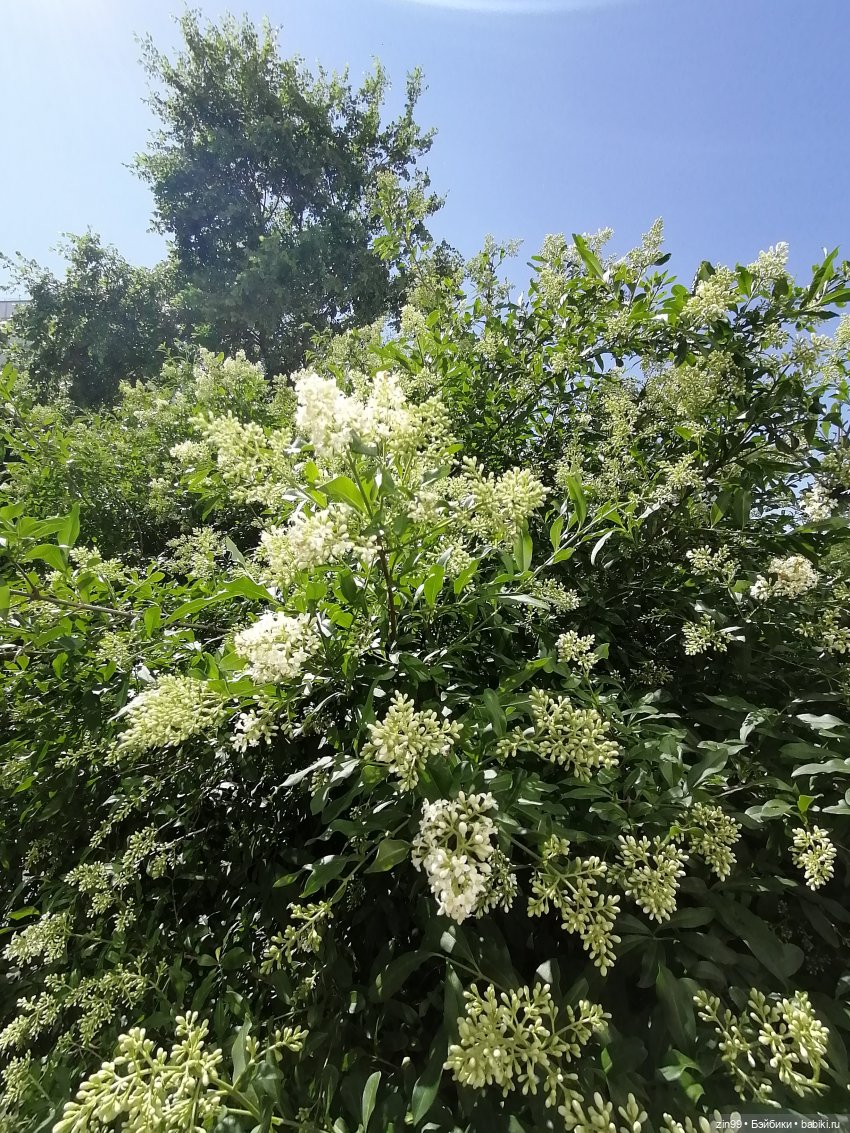 Приехала Jade Hunter от Rainbow High , Зеленая! И теперь почти вся серия